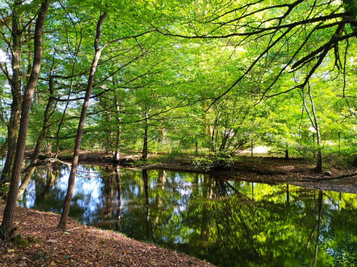 Avis de décès Avis de décès