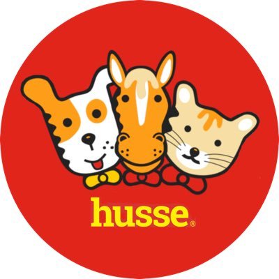 HUSSE