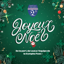 La SFT vous souhaite de joyeuses fêtes