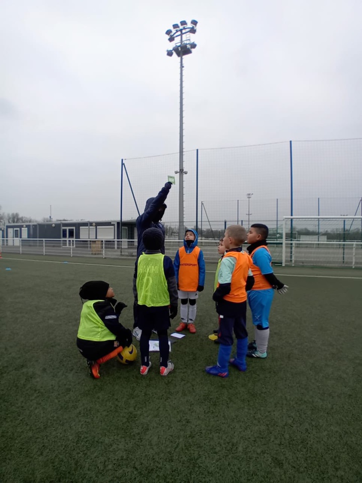 Action PEF carton vert Action PEF carton vert