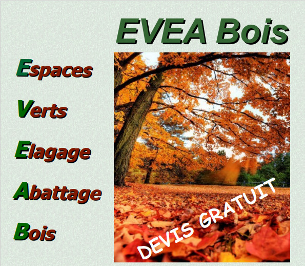 EVEA BOIS