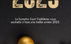 Meilleurs voeux pour 2025 !